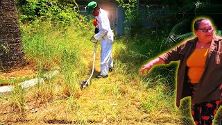 I Uncovered a Secret Walkway While Cleaning This Neglected Yard!