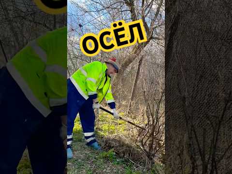 Дачный сезон #дача #огород #рассада #парник #сад #садоводство #грядки #юмор