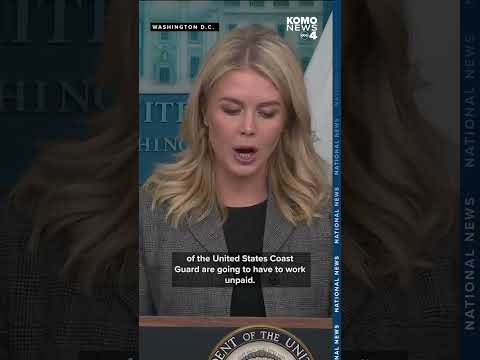 'This shutdown will affect all Americans': Karoline Leavitt blames Democrats for government shutdown