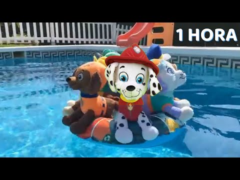 Paw patrol en español 1 hora de la patrulla de cachorros bebe en la alberca / Videos para niños