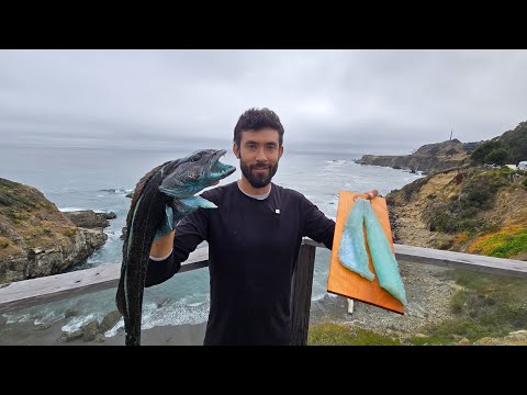 E-Foiling, Bobber Fishing, Vibrant Turquoise Lingcod Grilled on a Plank
