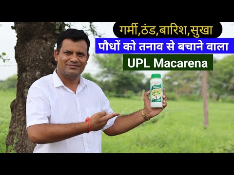 अमेरिकन तकनीक से बना सबसे बेस्ट टॉनिक UPL Macarena | Macarena plant growth regulators #mykisandost