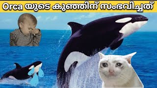 അവസാനം വരെ കാണുക Twist ഉണ്ട് 🥺🥵😳🥺🥺🥵🥵