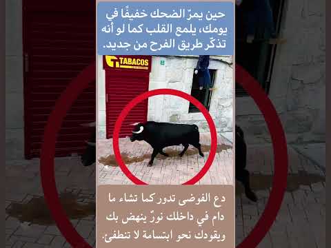 ثور غاضب يفحّط في الشارع ويُربك الجميع! مشهد كوميدي لن تتوقعه أبداً 😂🔥#shorts #اكسبلور