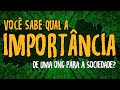 Importância das ONGs na Sociedade