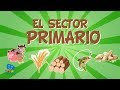 Primary Sector and Related Activities