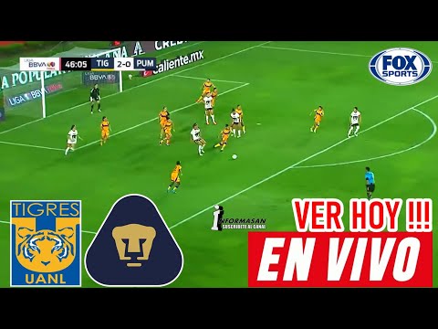 Tigres vs Pumas En Vivo, donde ver, a que hora juega TIGRES VS PUMAS TV, PARTIDO CUARTOS FEMENIL