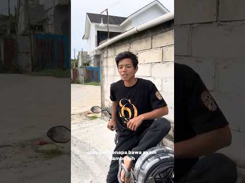 Upin ipin Ayam Rambo