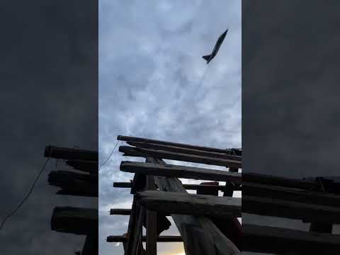 Когда над тобой грачи,значит надо вперед))это уже тыл)