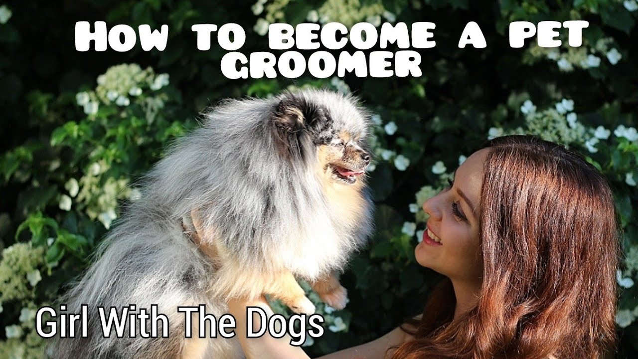 How to Start a Pet Grooming Business: A Comprehensive Guide 2025