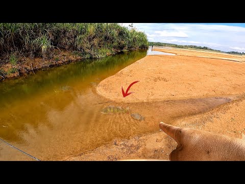 OS PEIXES ESTÃO ENCURRALADOS, o Rio pede SOCORRO, pescaria com acampamento