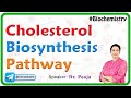 Cholesterol Biosynthesis and Function