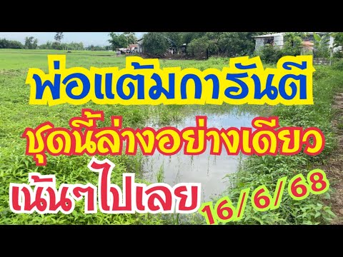 พ่อแต้มการันตี ชุดนี้ล่างอย่างเดียวเน้นๆไปเลย ￼#งวด16/6/68