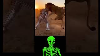 Lion vs. Spiky Suit: Who would win? 🦁⚔️ #trending #wildlife #shorts
