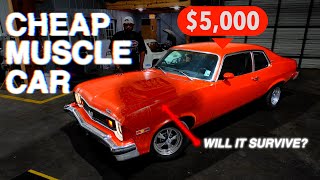 Can The $5K Muscle Car Survive? Nova Build Ep.1