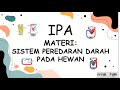 Animal Circulatory Systems Overview