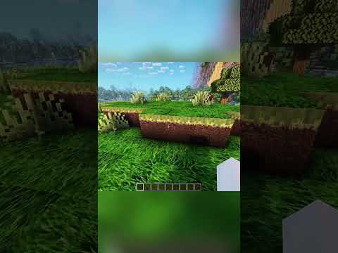 Transformo MINECRAFT en un juego REALISTA