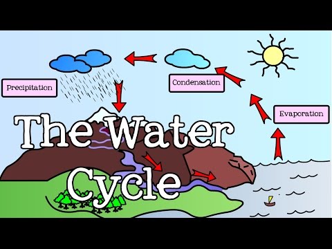 All About the Water Cycle for Kids: Introduction to the Water Cycle for Children - FreeSchool - YouTube(2:53)