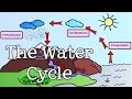 Exploring the Water Cycle: Key Concepts for Kids