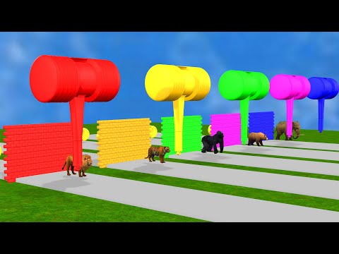 5 Giant Duck Cartoon, Tiger, Lion, Gorilla, Bear, Elephant Animals Animation