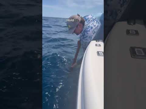 Spearfishing a WORLD RECORD Barracuda off the boat!