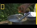 Custard Preparation and Techniques