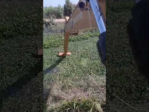 ใครจะมาเอาผักบุ้งมาเอาได้เลยนะครับเยอะมาก #excavator #fish #fishing #fyp #shorts #shortvideo