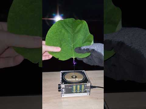 🍃 Music Tesla Coil #experiment #leaf #shorts