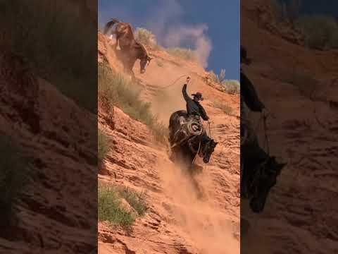 On the move #mustanghorse #horsesoftiktok #cowboy #horse #foryou  (performed by professionals)