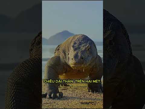 Bạn tôi có ĐẤM LẠI NÓ KHÔNG?? #khampha #giaitri #facts