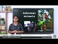 Animal Habitats and Adaptations