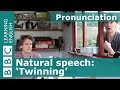 Understanding Twinning in Speech