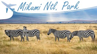 Mikumi National Park | A Sight for Sore Eyes