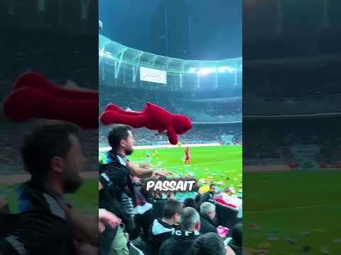Les Supporters Font Pleuvoir des Ours en Peluche sur le Terrain ! 😳👏