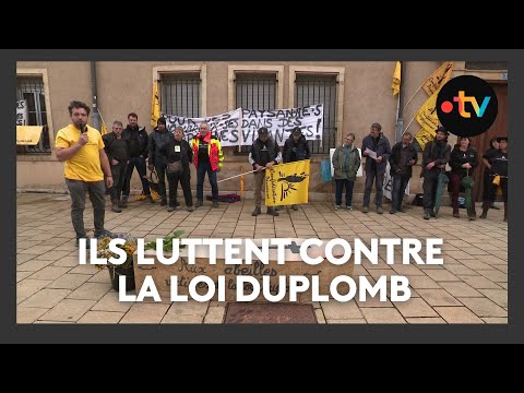 "Nourrir pas détruire" : l'agriculture paysanne et les abeilles enterrées par la loi Duplomb