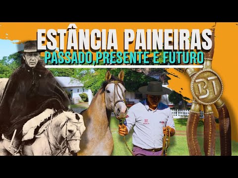 Estância Paineiras, história e futuro do cavalo crioulo na Cabanha Basca