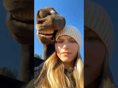 This horse’s drama will have you shook.🐎#horse #farm #funnyanimal #farmanimalct #funnyhorse