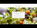 Understanding God's Provision and Creation