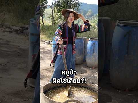 หมูป่าติดใจเพราะใส่สิ่งนี้? #มิ้นท์นวินดา #ปักหมุดชาแนล #เชียงราย #เขยอาข่า #ภาคเหนือ