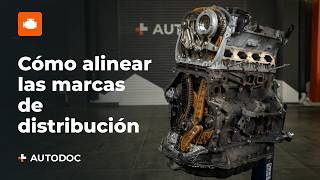 Cómo alinear correctamente las marcas de distribución en un motor EA888