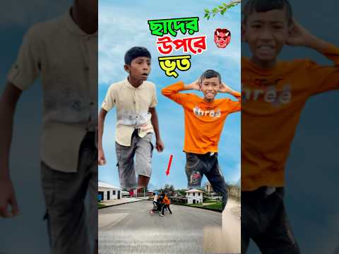 ছাদের উপরে ভূত দেখুন       #short #shorts #islam #islamic #viralvideo #trending #marufrisk1m