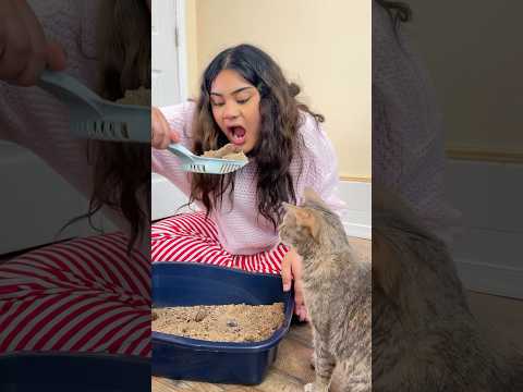 Litter box Cat Prank gone WRONG! 😰