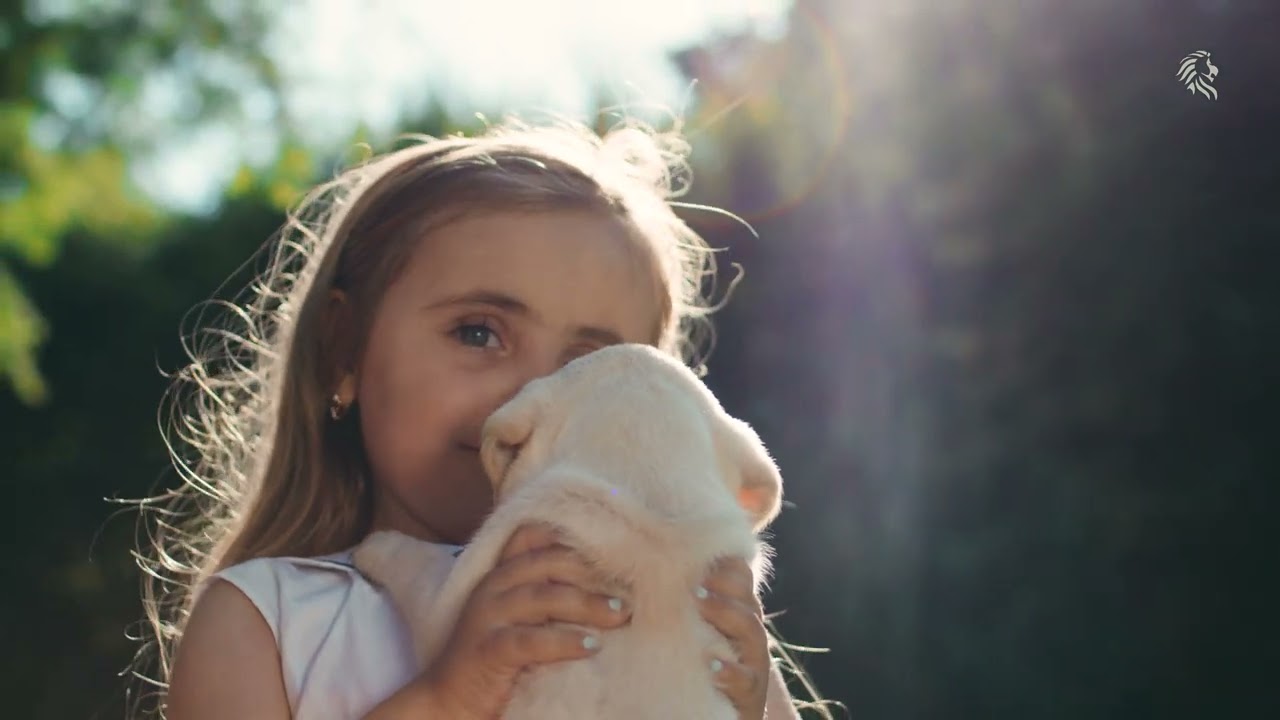 Viva o Agora Viva o Agora