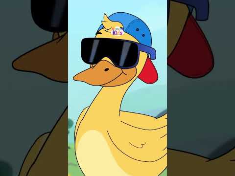 🎶🐤 ¡Obedecer también puede cantarse! 💛 #patitojuan