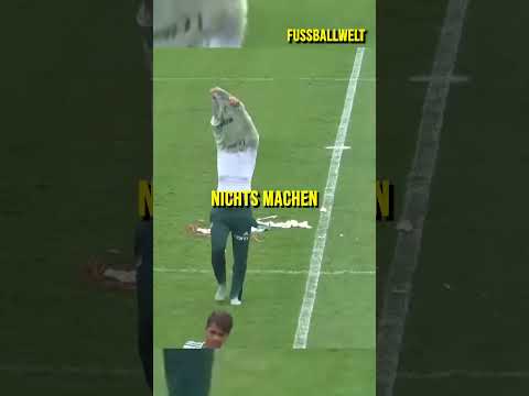 Warum haben sie das getan? 😔💔💔