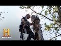 Understanding the Challenges in Woodcutting