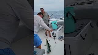 Mahi
