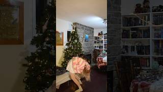 116 days and YouTube keeps ghosting our 10M award😤 #jennaortega #fakeortega #wednesday #enid #shorts