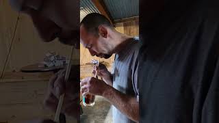you can always trick Andrew Tate with a mini straw inside a regular straw