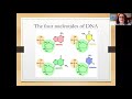 Exploring DNA Structure and Replication